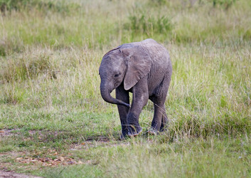 Similar image 2880867