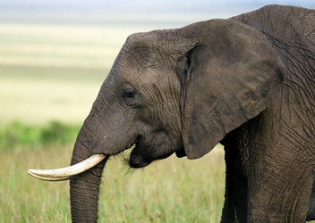 Similar image 2880868