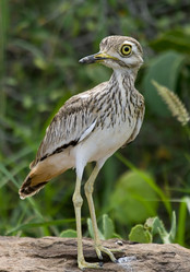 Similar image 2880871