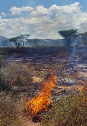 Similar image 2880879