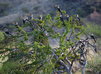 Similar image 2880885