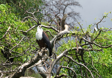 Similar image 2880887