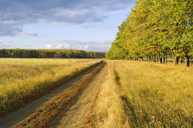 Similar image 2880901