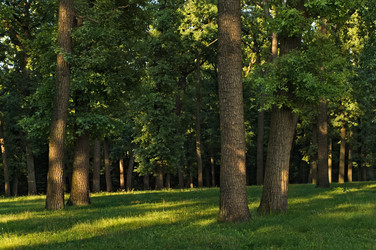 Similar image 2880907