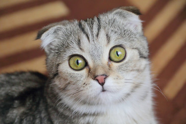 Similar image 2880947