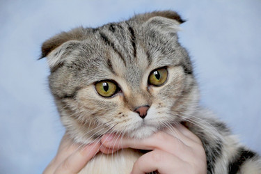 Similar image 2880948