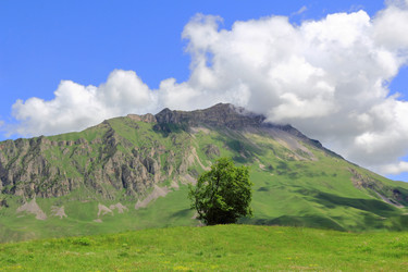 Similar image 2880950