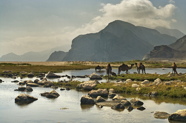 Similar image 2880958