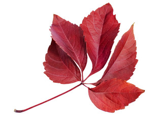 Similar image 2881022