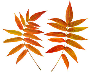 Similar image 2881030