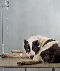 Similar image 2881087