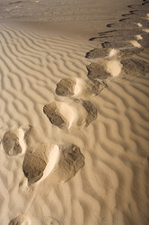 Similar image 2881088