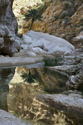 Similar image 2881091