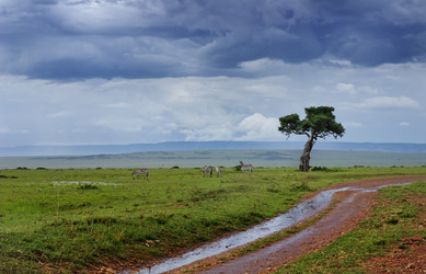 Similar image 2881094