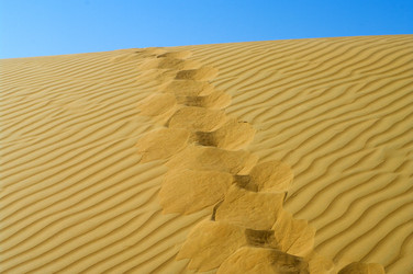 Similar image 2881099