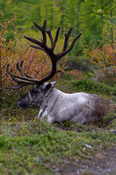 Similar image 2881105