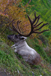 Similar image 2881106