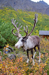 Similar image 2881107