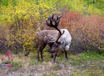 Similar image 2881108