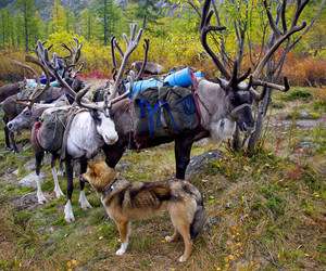 Similar image 2881109