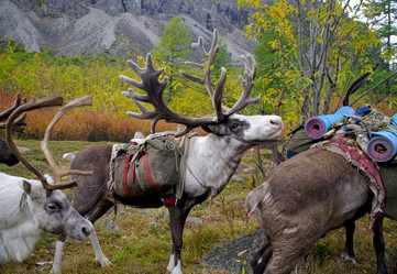 Similar image 2881120