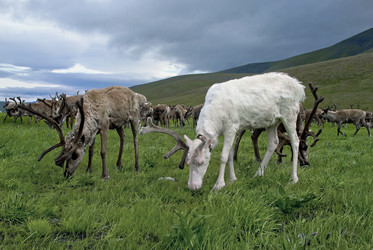 Similar image 2881130