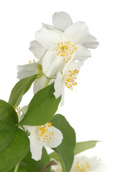 Similar image 2881174