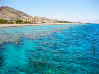 Similar image 2881239