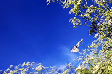 Similar image 2881348