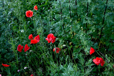 Similar image 2881450