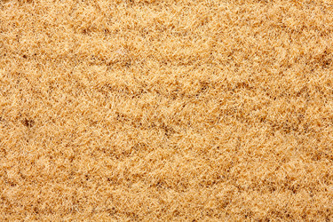 Similar image 2881458