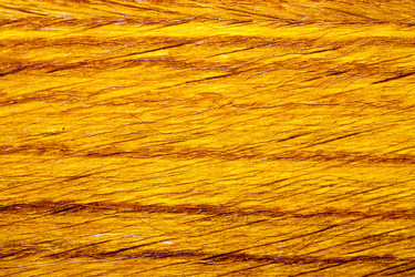 Similar image 2881478