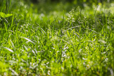 Similar image 2881520