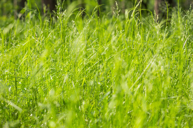 Similar image 2881521