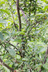 Similar image 2881522