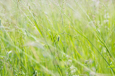 Similar image 2881523