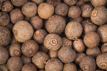 Similar image 2881554