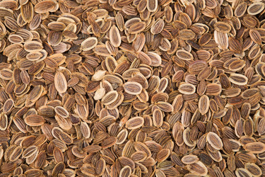 Similar image 2881560