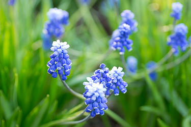 Similar image 2881566