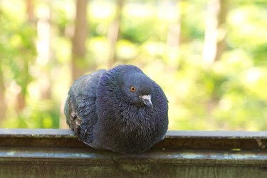 Similar image 2881568