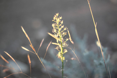 Similar image 2881609