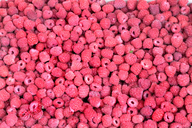 Similar image 2881611