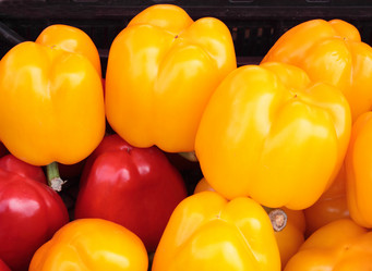 Similar image 2881614