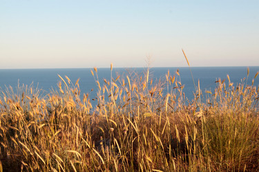 Similar image 2881616