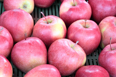 Similar image 2881617