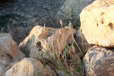 Similar image 2881618