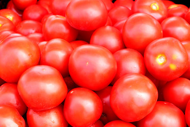 Similar image 2881619