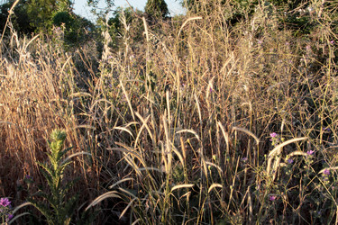 Similar image 2881627