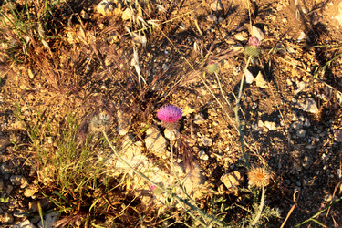 Similar image 2881644