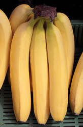 Similar image 2881647